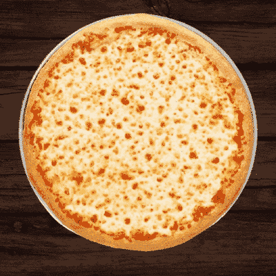 Double Cheese Special Pizza